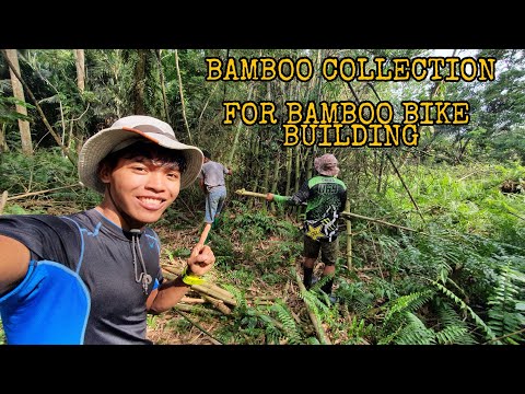 Bamboo collection for bamboo bike