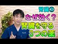なぜ効く？腎臓を守る3つの薬