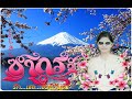 Sakura Love Song 11