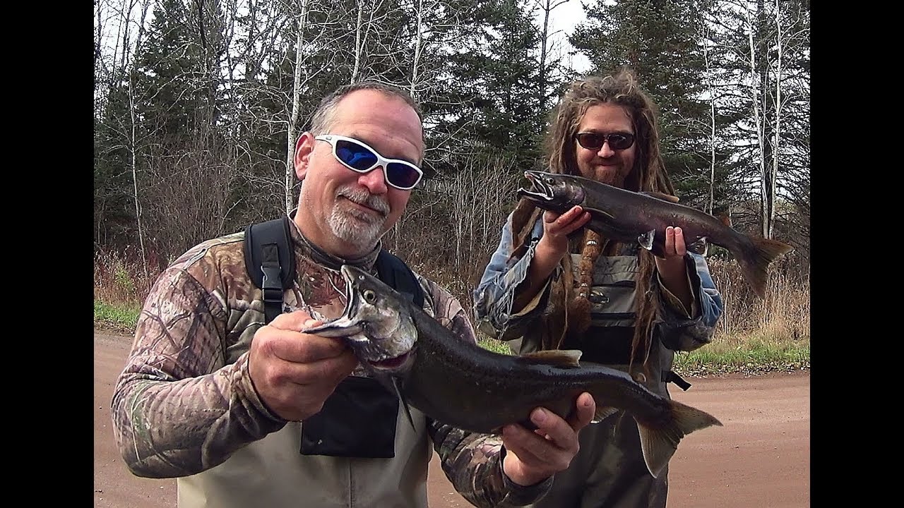 Wisconsin Trout Fishing 11/2/2018 YouTube