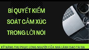 BÍ QUYẾT KIỂM SOÁT CẢM XÚC TRONG LỜI NÓI - Kỹ năng thu phục lòng người của nhà lãnh đạo tài ba