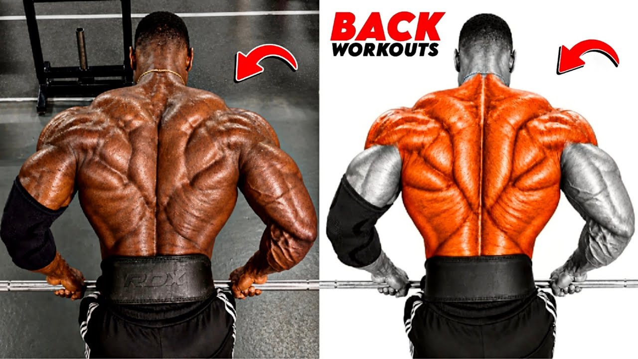 8 Elite Back Exercises for Building a Wide, Thick & Defined Back 💪 ...