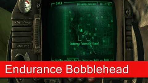 Fallout 3 Bobleheads: Strength, Perception, and Endurance.