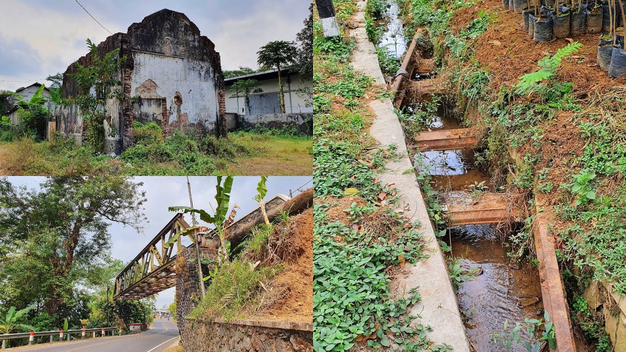 JPL TERTIMBUN ASPAL, JEMBATAN UNIK KHAS BELANDA & PENUNGGU STASIUN SINGOMERTO YANG TERBENGKALAI