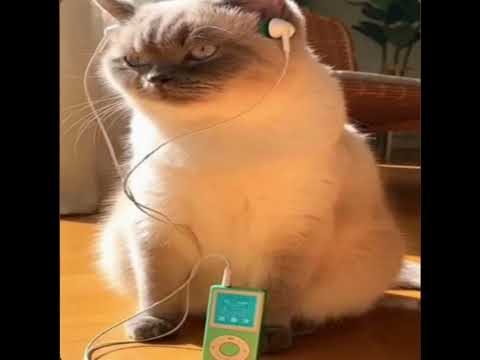 give me hints -s0rrow (slowed) 