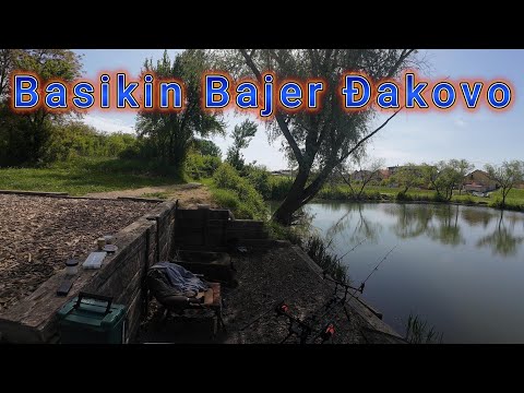 Igrališče Chicken Road - Igrajte v igralnico online v Sloveniji