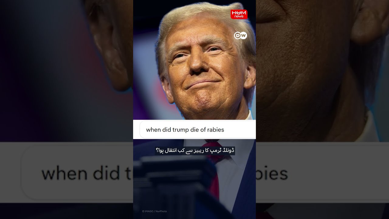Why you can't trust the AI summaries on Google search | Hum News | Pakistan