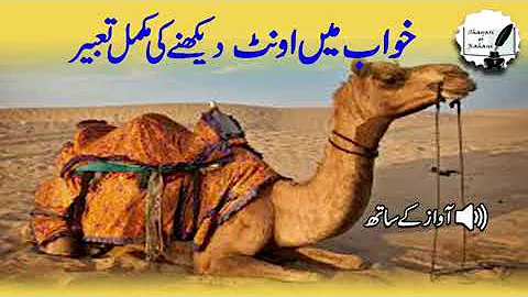 Khwab Mein Oont Dekhna