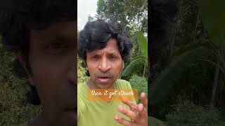 Trust life process. Don’t be a like frog #mindset #reality #creation #thoughts #shorts #fun #stress