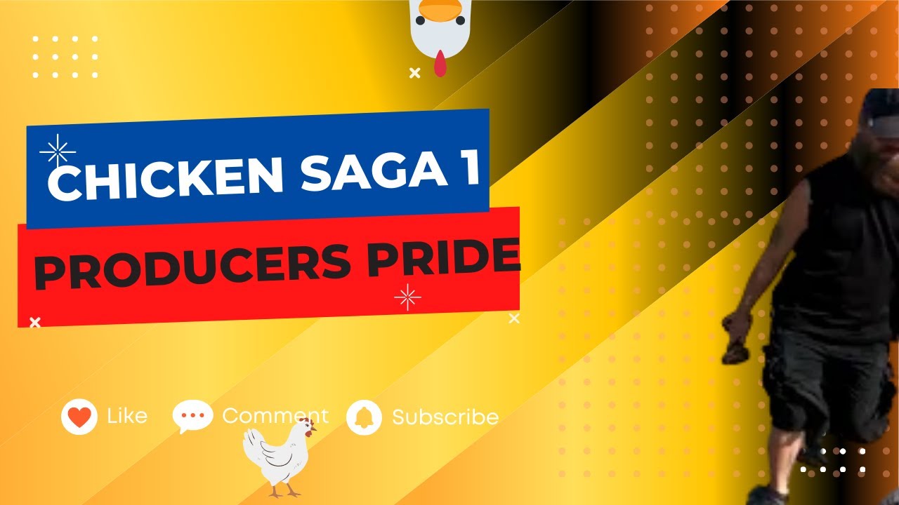 Chicken Saga 1: Producer's Pride chicken coop & more! - YouTube