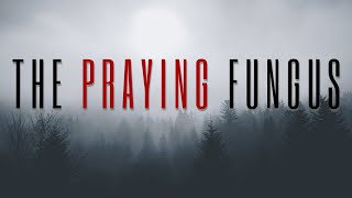 The Praying Fungus - r/nosleep story