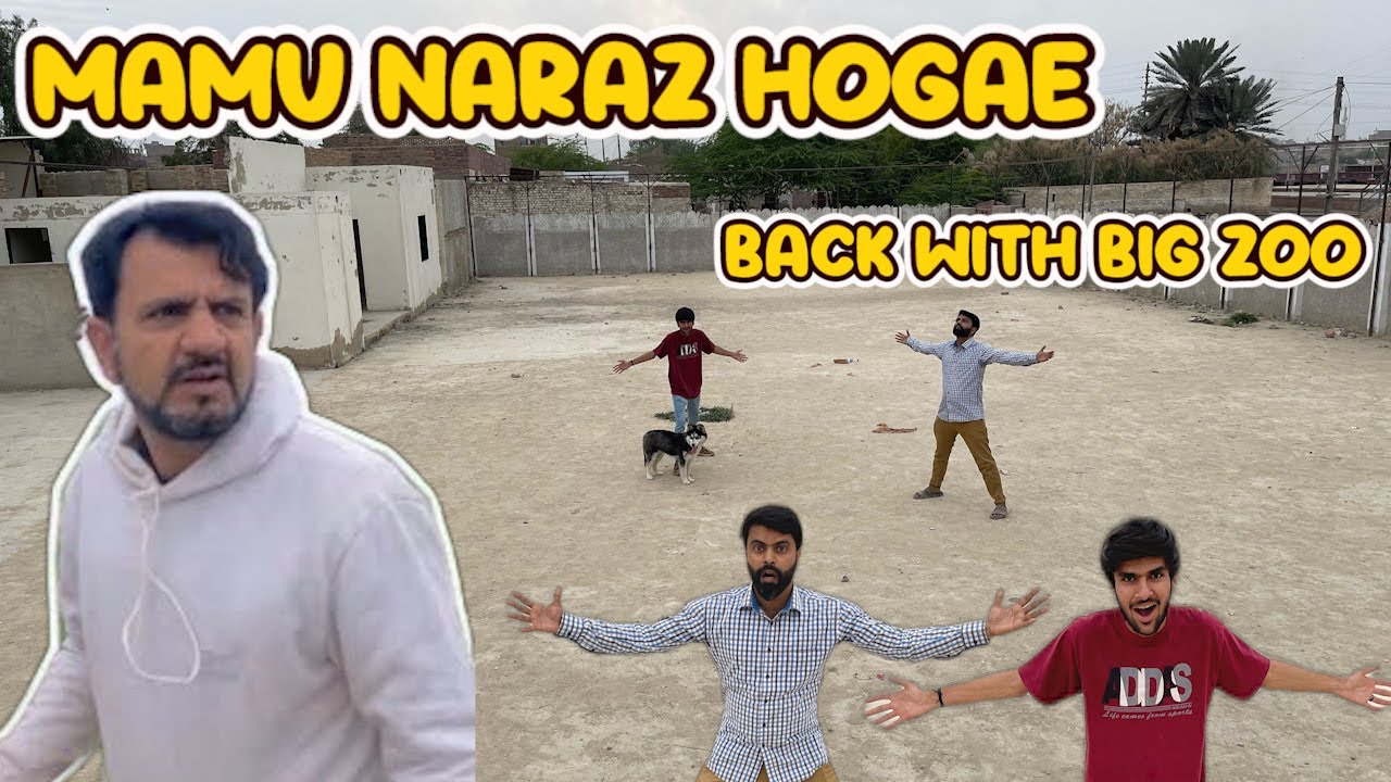 We Are Back With Big zoo 😍 | SW pet House wale Waleed bhai naraz Hogae 😥 | Mehran Kay Mehman