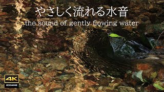 4K video / Sound of water flowing gently in the forest / Kuzuya River, Shichiso Town