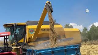 Giresun’un O Ilçesinde Makineli Tarım Yaygınlaşıyor Ürün Kaybı Azaldı, Maliyetler Yarıya Indi