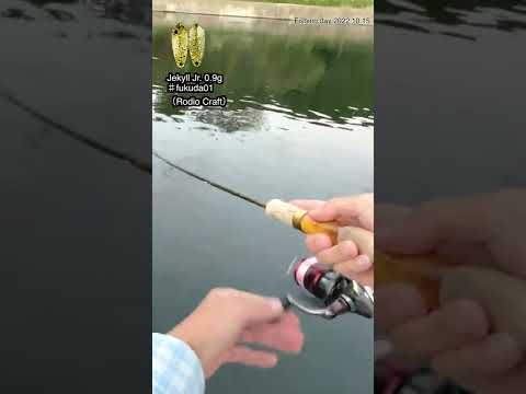 【Area trout fishing】Jekyll