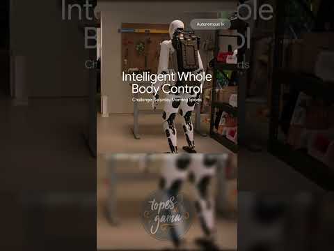 El nuevo ROBOT de Google es una LOCURA 🤯