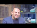 مساء  الملكة فريدة أسرع حمامة في مصر