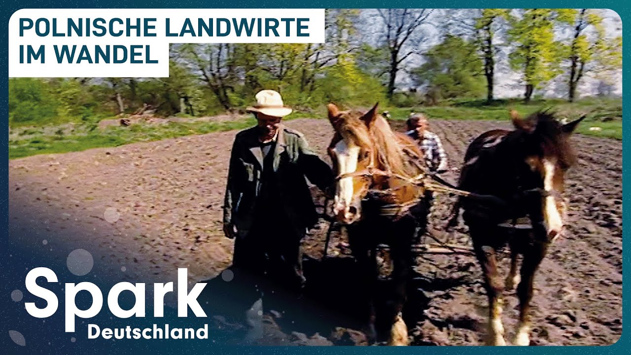 Die EU und die polnischen Bauern | Zwischen Unsicherheit und Chancen