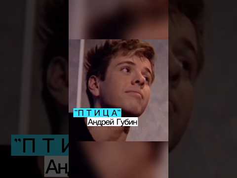 Запись песен и съёмки в студии | Андрей Губин – Птица #андрейгубин #музыка #music #губин