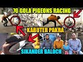 70 gola pigeons loft sikander baloch kabooter tukri ki tofani parkat 1 kabuter pakra catching pigeon