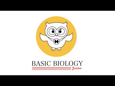 BASIC BIOLOGY EP.1 | BIO SERIES JUNIOR [TRIAL version]