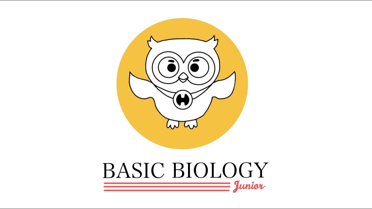 BASIC BIOLOGY EP.1 | BIO SERIES JUNIOR [TRIAL version]