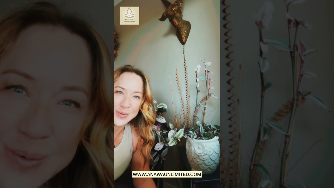 Plants can communicate either you!🍃🍃✨