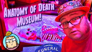 Anatomy of Death Museum  Amazing Collection of Skeletons and Funeral Artifacts  Mount Clemens, MI