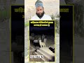 देखें अल्लाह की कुदरत बिल्ली ने कब्रिस्तान में पुकारा अल्लाह हु अकबर #viralcat #kabristancat