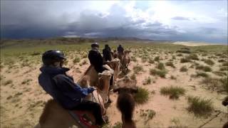 What it's like to ride camels in Mongolia