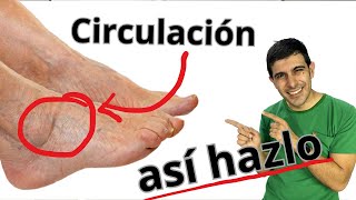 10 Ejercicios CIRCULACIÓN en pies y piernas