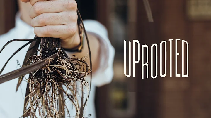 Pastor James deMelo - Uprooted