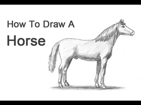 How to draw dinosaurs, step by step, animals, with our 