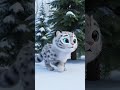 Turbo Toots Unleash the Little Snow Leopard Speed!