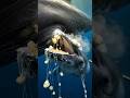 gaining 200 lbs a day is actually insane 🐋 nature is unhinged fr #shorts #nature #wildlife
