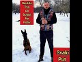 KAKO NAUČITI PSA DA DOLAZI NA POZIV (SVAKI PUT)