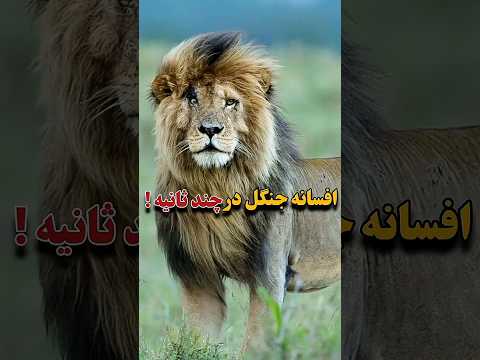 صورت زخمی شیر زخمی اما جاودان 