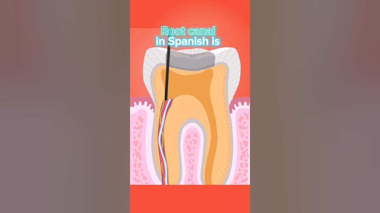 root-canal-in-spanish-medical-consecutive-interpreting-youtube