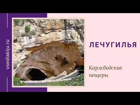 Video: Лечугилья үңкүрү коомчулукка ачыкпы?