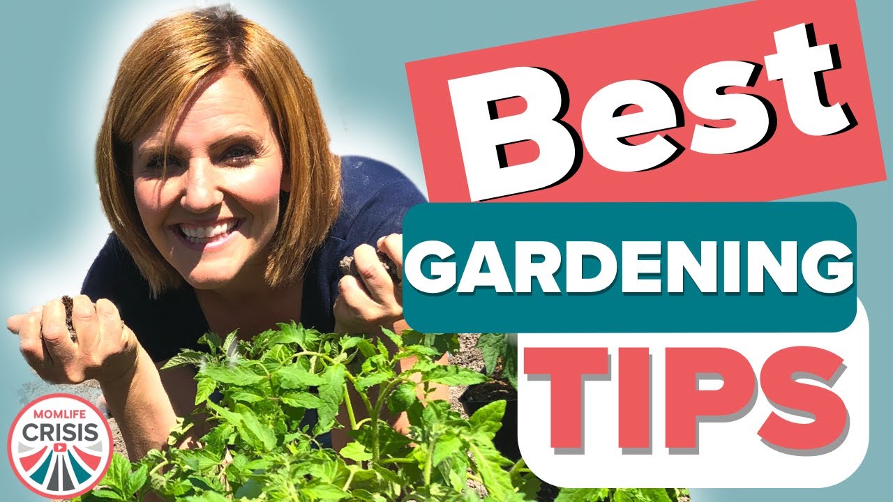 BEST GARDENING TIPS, TOOLS and IDEAS -Gardening 101 - MomLife Crisis #