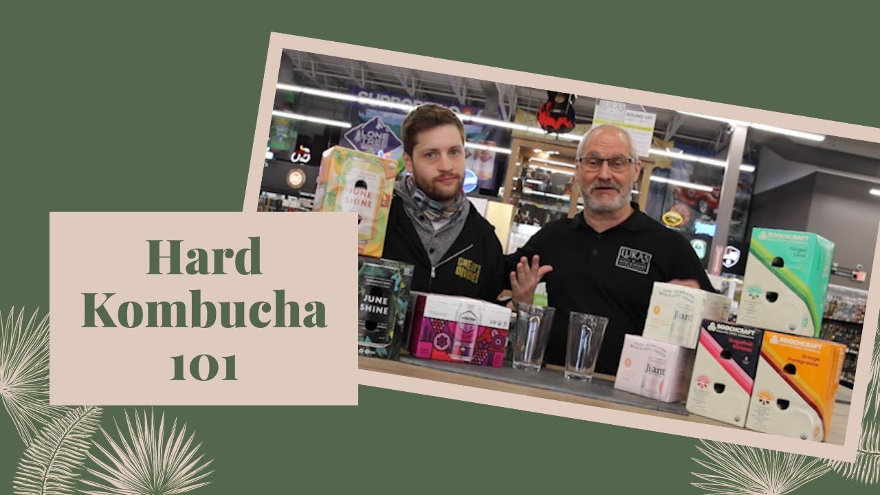 Hard Kombucha 101