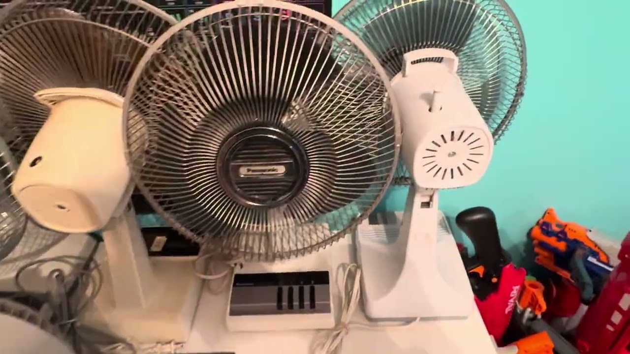 quick-ish tour of some of my fan collection 