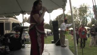 SL New Year @ Woodley Park 2012 part 2.m4v