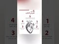 أعراض مرض القلب أعراض مرض القلب
