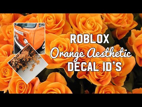 Roblox Orange Aesthetic Decal Id S Youtube - roblox bloxburg purple aesthetic decal id s youtube