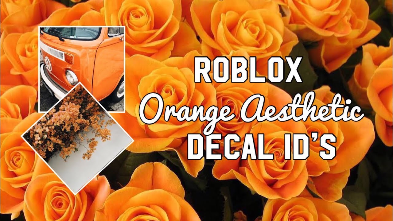 Roblox Orange Aesthetic Decal ID’s - YouTube