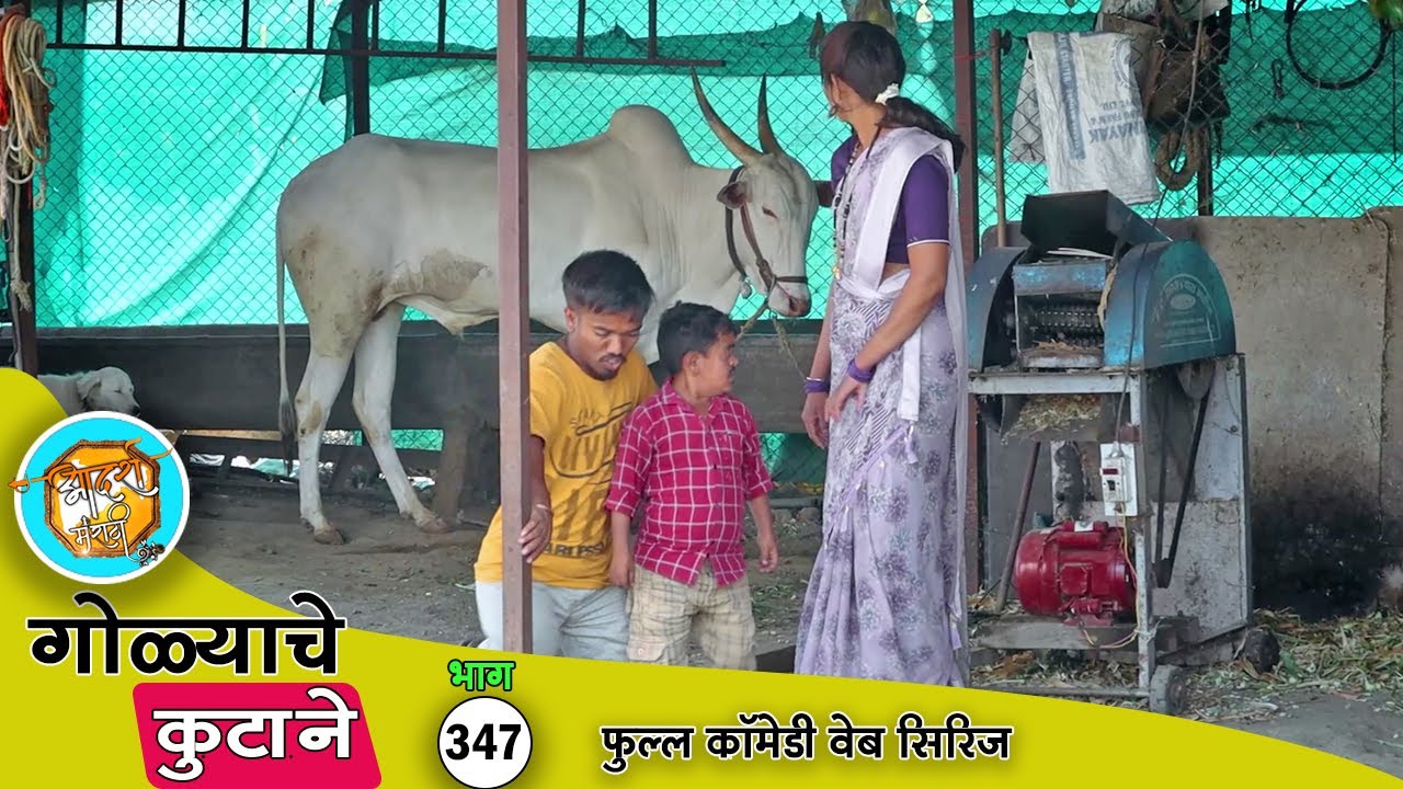 गोळ्याच्या बैलाने गावात असा धुमाकूळ घातला 😂 फुल्ल कॉमेडी भाग- 347 | Adarsh Marathi