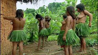Pesta Kostum Hutan