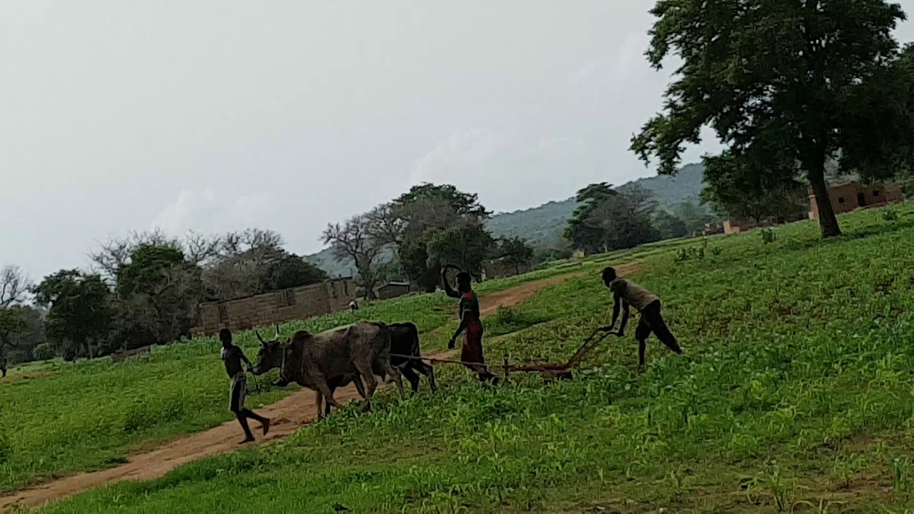 Nabare  ,Musique Traditionnelle Kassena du Nahouri Tiebele