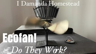 Does an Ecofan Help Your Woodstove Heat Your House? Is it Worth It?